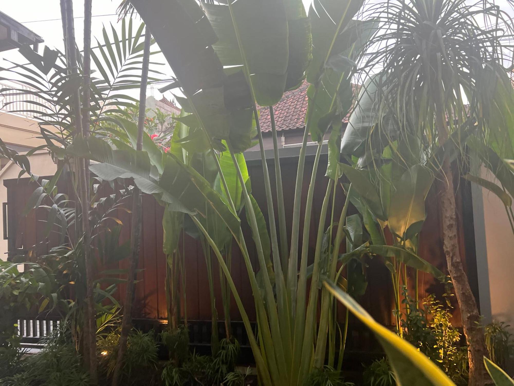 Villa Makmur Kerobokan Exterior foto